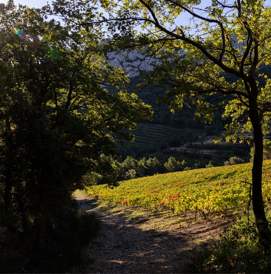 Image domaine de Cassan