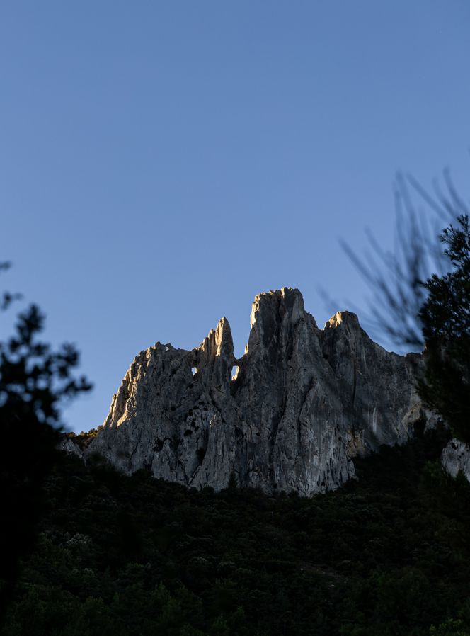 Balade et dégustation au coeur des Dentelles de Montmirail