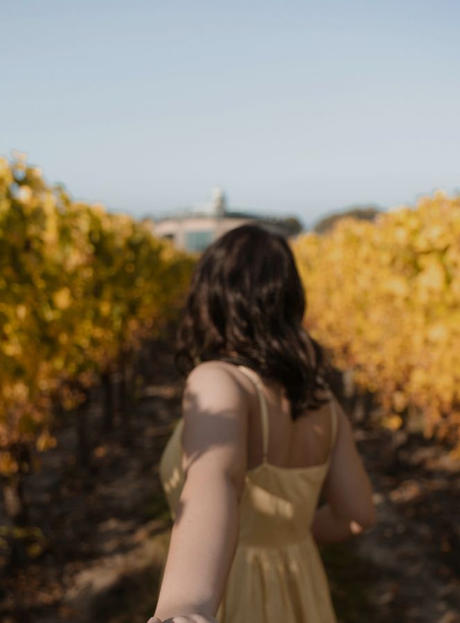 Sentier vigneron audio-guidé, entre histoire et terroir